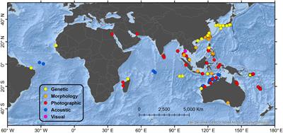 Global Distribution of Omura’s Whales (Balaenoptera omurai) and Assessment of Range-Wide Threats